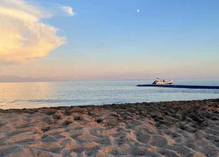 Rej Velipoje * Shkodra